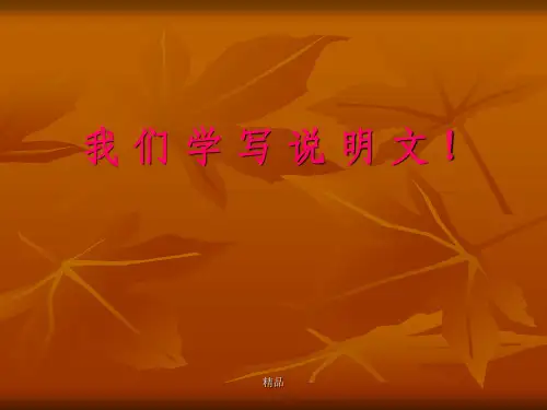 说明文作文公开课课件