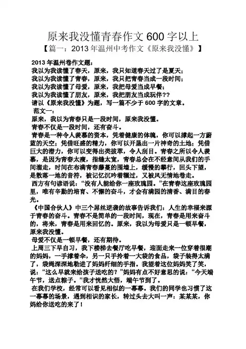 原来我没懂青春作文600字以上
