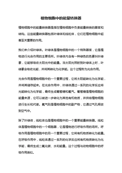 植物细胞中的能量转换器