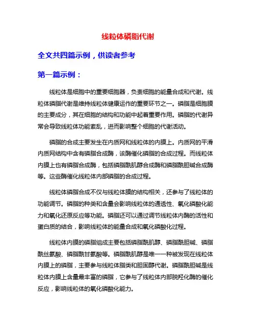 线粒体磷脂代谢