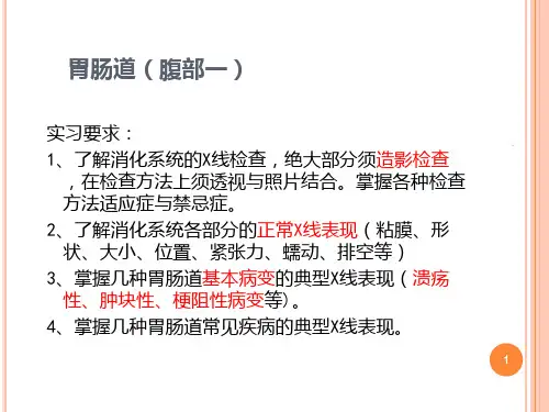 医学影像学-五年制见习课课件：见习腹部一