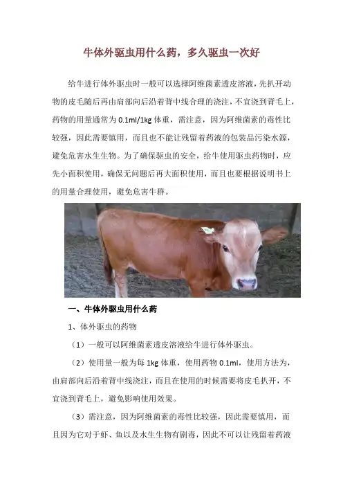 牛体外驱虫用什么药,多久驱虫一次好
