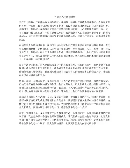 体验盲人生活的感悟