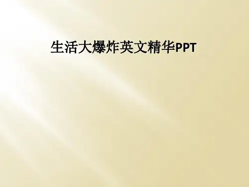 生活大爆炸英文精华PPT