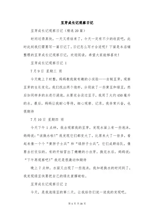 豆芽成长记观察日记
