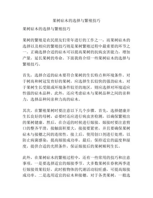 果树砧木的选择与繁殖技巧