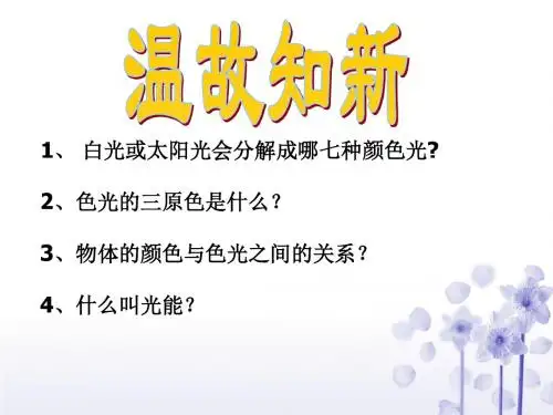 人眼看不见的光课件