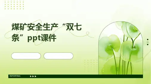 煤矿安全生产“双七条”PPT课件