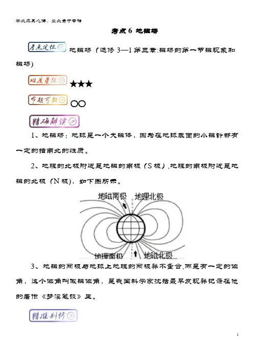 高中物理最易错考点考点地磁场1