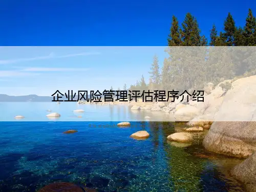 企业风险管理评估程序介绍