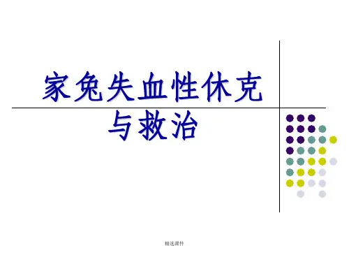 家兔失血性休克与救治