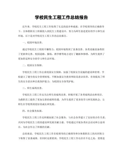 学校民生工程工作总结报告