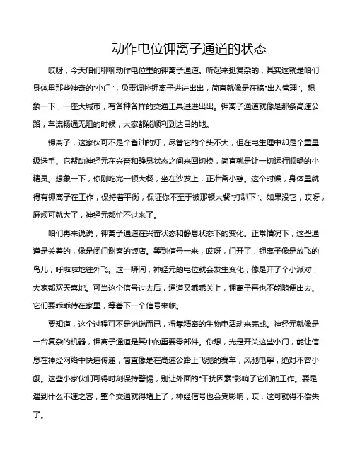 动作电位钾离子通道的状态