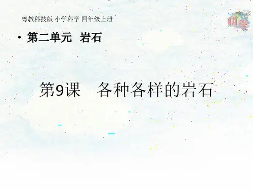 四年级上册科学课件 各种各样的岩石 粤教版 (共13张PPT)