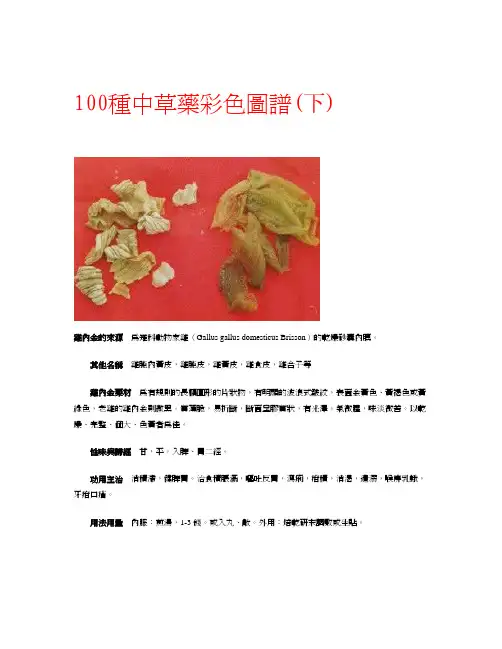 100种中草药彩色图谱-下