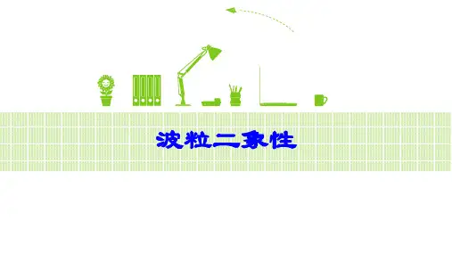 高二高三物理-波粒二象性