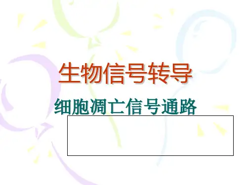 细胞凋亡信通路详细与总结