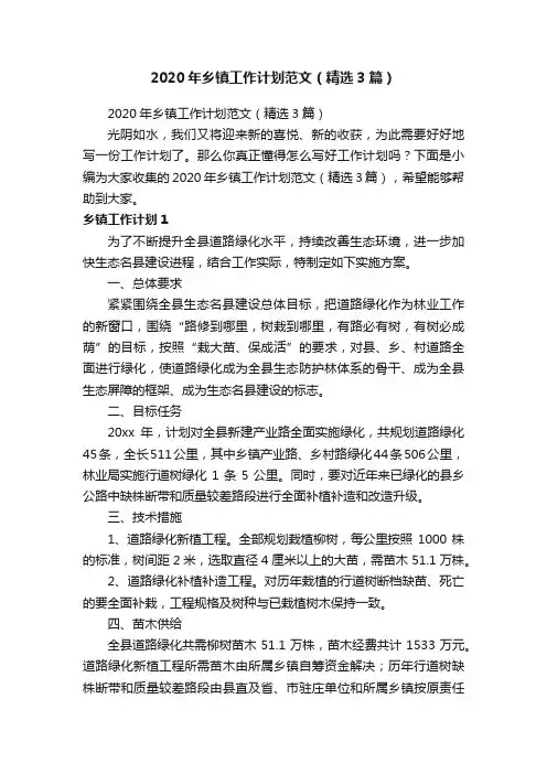 2020年乡镇工作计划范文（精选3篇）