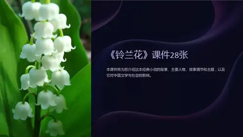 《铃兰花》课件28张