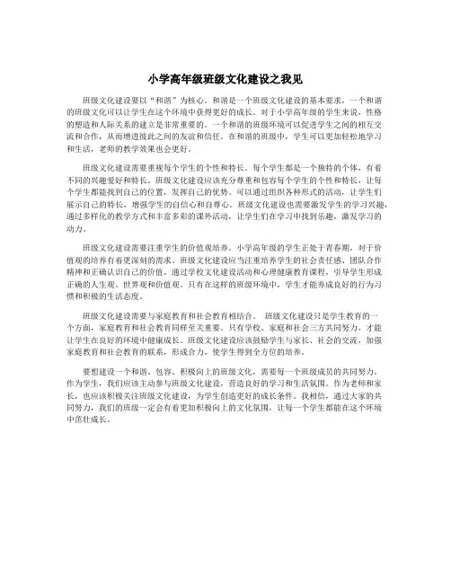 小学高年级班级文化建设之我见