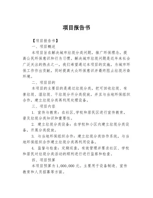 项目报告书