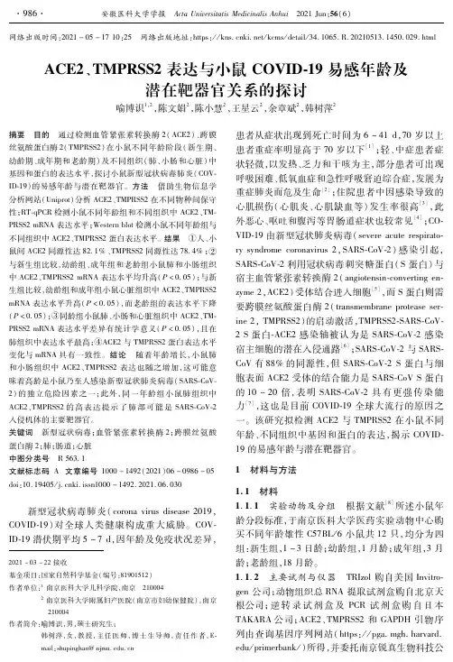 ACE2、TMPRSS2表达与小鼠COVID-19易感年龄及潜在靶器官关系的探讨
