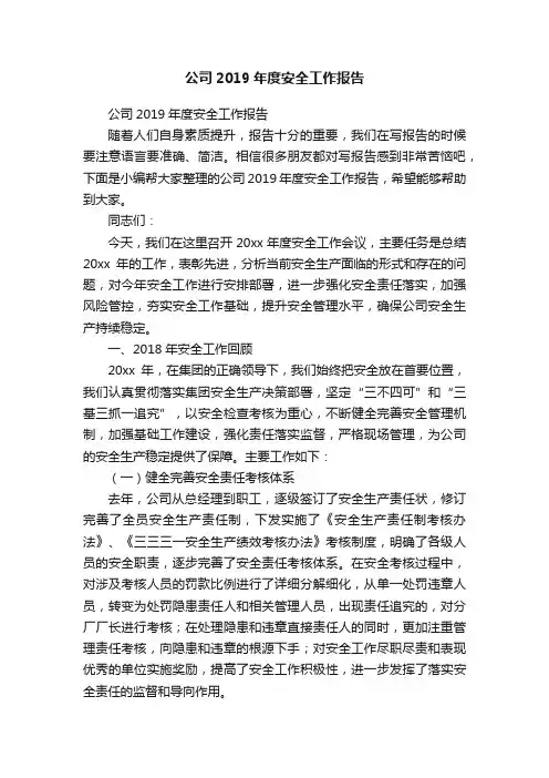公司2019年度安全工作报告