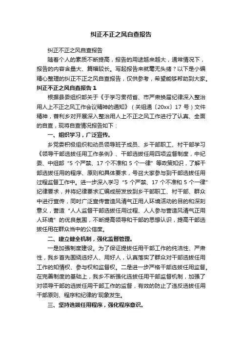 纠正不正之风自查报告