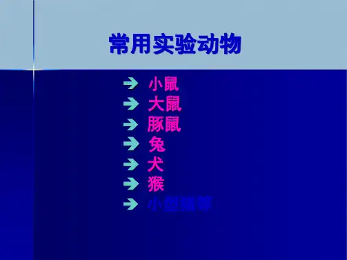 动物实验技术常用实验动物大小鼠豚鼠(共136张PPT)
