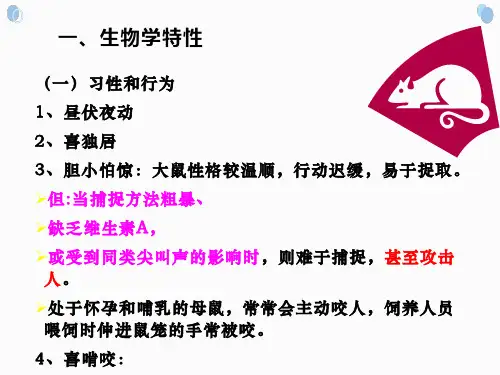 实验动物学大鼠课件