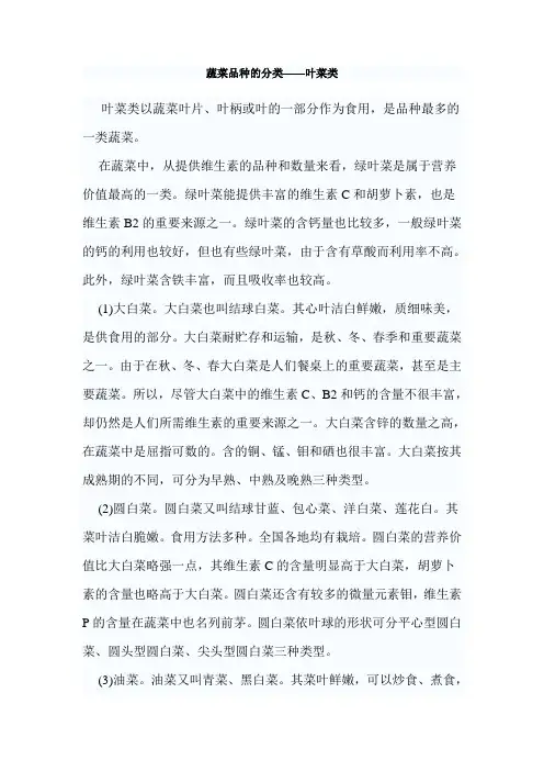 蔬菜品种的分类——叶菜类