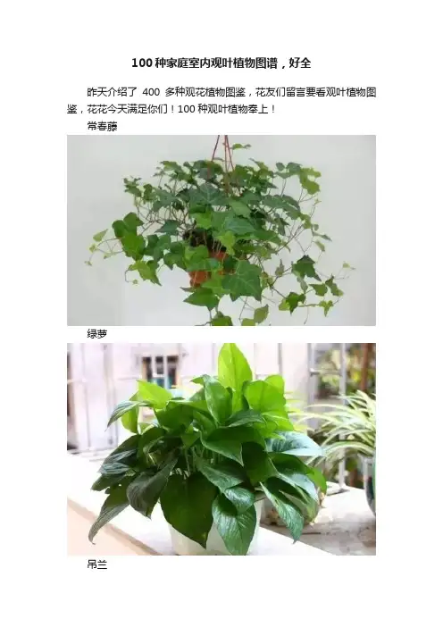 100种家庭室内观叶植物图谱，好全