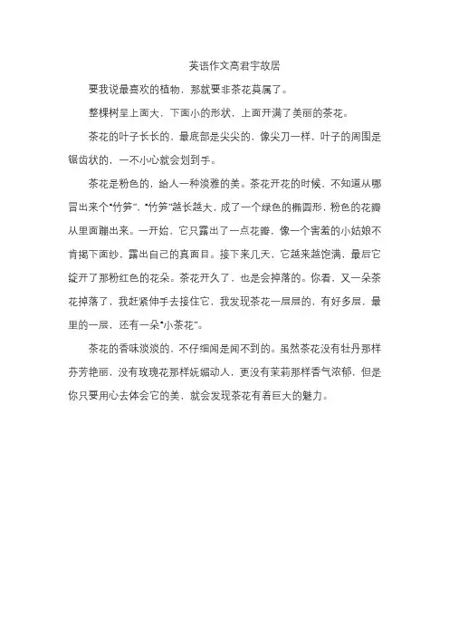 茶花的作文三百字