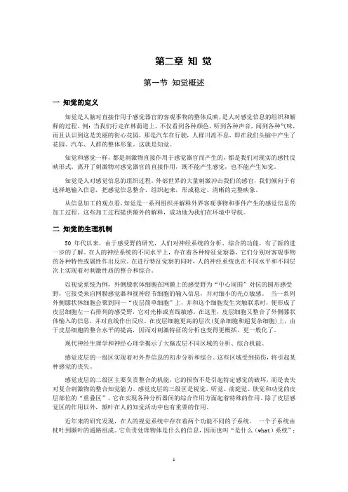 第二章 知觉2