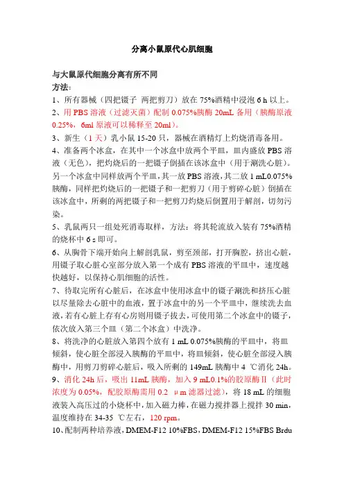 小鼠原代心肌细胞分离