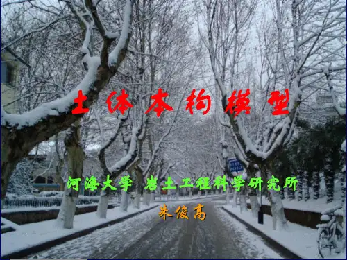 河海大学土体本构模型详解资料