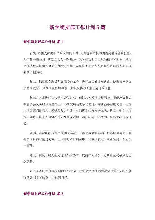 新学期支部工作计划5篇