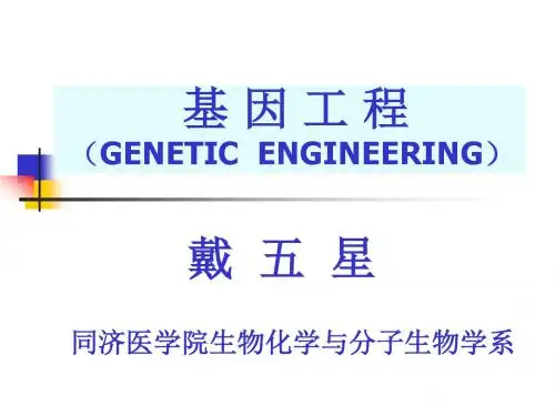 分子生物学6 PPT课件