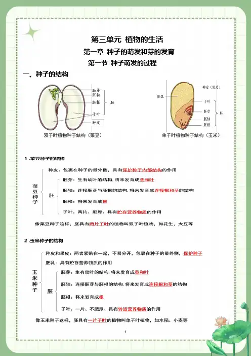 知识点总结2023--2024学年冀教版生物八年级上册