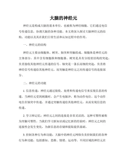 大脑的神经元
