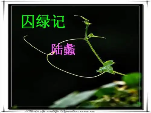人教版高中语文必修第二册 囚绿记 PPT课件