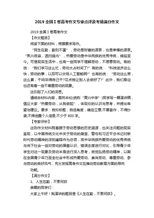 2019全国Ⅰ卷高考作文专家点评及考场满分作文