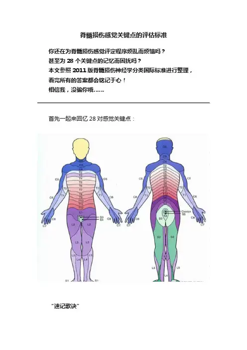 脊髓损伤感觉关键点的评估标准