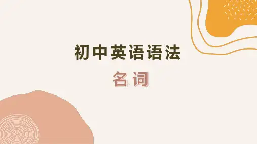 中考英语语法名词课件