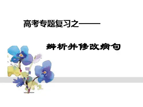 高考病句专题专题市公开课获奖课件省名师示范课获奖课件