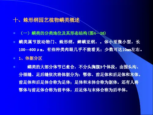 十、蛛形纲园艺植物螨