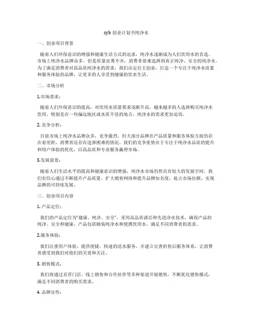 syb创业计划书纯净水
