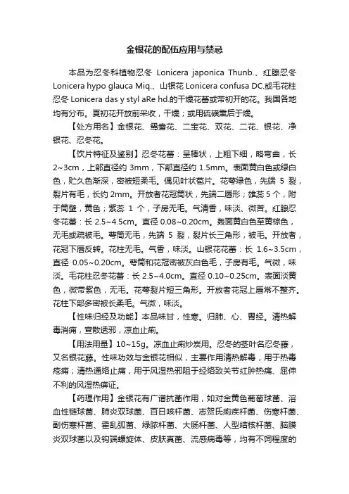 金银花的配伍应用与禁忌