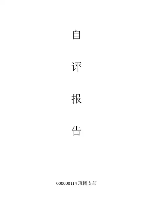 团支部自评报告