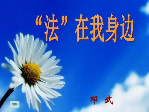 “法”在我身边PPT优秀课件 人民版(共13张)